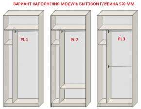 Шкаф распашной серия «ЗЕВС» (PL3/С1/PL2) Серый камень/Небраска натуральный в Муравленко - muravlenko.ok-mebel.com | фото 5