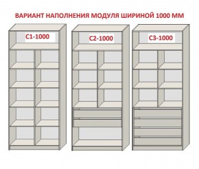 Шкаф распашной серия «ЗЕВС» (PL3/С1/PL2) Серый камень/Небраска натуральный в Муравленко - muravlenko.ok-mebel.com | фото 7