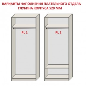 Шкаф распашной серия «ЗЕВС» (PL3/С1/PL2) Серый камень/Небраска натуральный в Муравленко - muravlenko.ok-mebel.com | фото 9