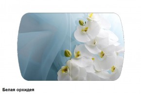 Стол Бостон 900*600 (опоры Брифинг) Стекло/фотопечать Белая Орхидея в Муравленко - muravlenko.ok-mebel.com | фото