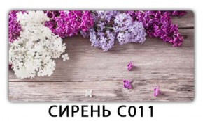 Стол раздвижной Трилогия с фотопечатью Орхидея C012 в Муравленко - muravlenko.ok-mebel.com | фото 16