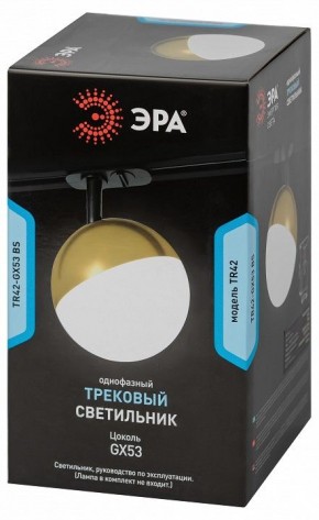 Светильник на штанге Эра  TR42-GX53 BS в Муравленко - muravlenko.ok-mebel.com | фото 6