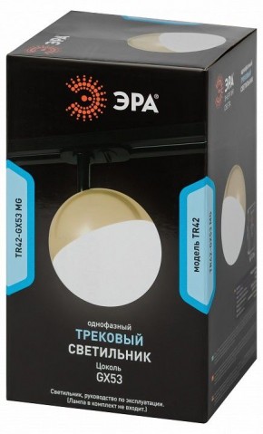Светильник на штанге Эра  TR42-GX53 MG в Муравленко - muravlenko.ok-mebel.com | фото 6
