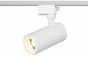 Светильник на штанге Эра  TR59 - 2040 WH в Муравленко - muravlenko.ok-mebel.com | фото 5