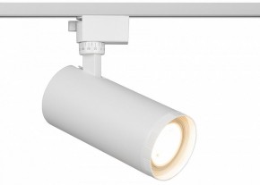 Светильник на штанге Эра  TR59 - 3030 WH в Муравленко - muravlenko.ok-mebel.com | фото