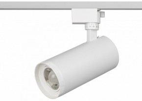 Светильник на штанге Эра  TR59 - 3030 WH в Муравленко - muravlenko.ok-mebel.com | фото 2