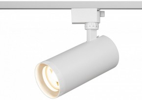 Светильник на штанге Эра  TR59 - 3030 WH в Муравленко - muravlenko.ok-mebel.com | фото 5