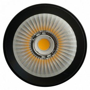 Светильник на штанге Feron TR Reflex 52059 в Муравленко - muravlenko.ok-mebel.com | фото 12