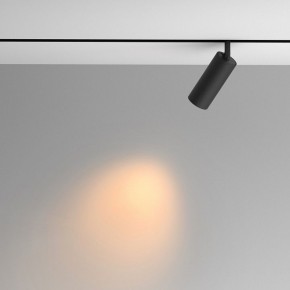 Светильник на штанге Maytoni Artisan TR097-2-12W2.7K-M-BB в Муравленко - muravlenko.ok-mebel.com | фото 4