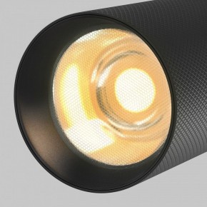 Светильник на штанге Maytoni Artisan TR097-2-12W2.7K-M-BB в Муравленко - muravlenko.ok-mebel.com | фото 9