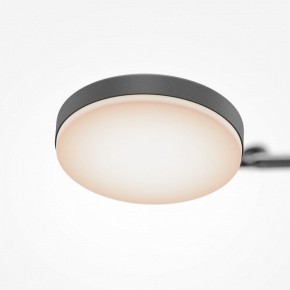Светильник на штанге Maytoni Fad MOD070CL-L15B3K1 в Муравленко - muravlenko.ok-mebel.com | фото 7