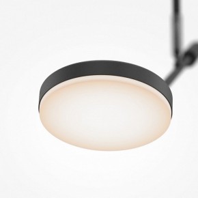Светильник на штанге Maytoni Fad MOD070CL-L8B3K в Муравленко - muravlenko.ok-mebel.com | фото 4