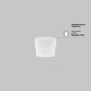 Светильник на штанге Maytoni Focus LED TR032-4-12WTW-M-DSZ-B в Муравленко - muravlenko.ok-mebel.com | фото 6