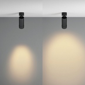 Светильник на штанге Maytoni Focus Zoom C055CL-L12W2.7K-Z-B в Муравленко - muravlenko.ok-mebel.com | фото 3