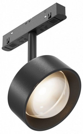 Светильник на штанге Maytoni Lens TR217-2-15W3K-B в Муравленко - muravlenko.ok-mebel.com | фото