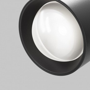 Светильник на штанге Maytoni Lens TR217-4-15WTW-DD-B в Муравленко - muravlenko.ok-mebel.com | фото 12