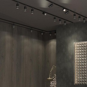 Светильник на штанге Novotech Elina 370777 в Муравленко - muravlenko.ok-mebel.com | фото 4