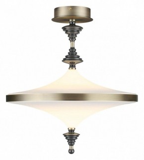 Светильник на штанге Odeon Light Ula 5404/43CL в Муравленко - muravlenko.ok-mebel.com | фото 2