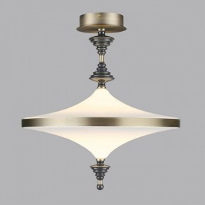 Светильник на штанге Odeon Light Ula 5404/43CL в Муравленко - muravlenko.ok-mebel.com | фото 3