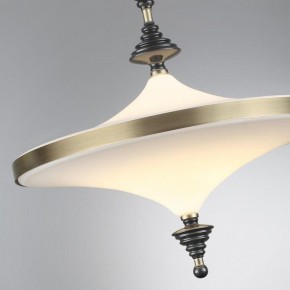 Светильник на штанге Odeon Light Ula 5404/43CL в Муравленко - muravlenko.ok-mebel.com | фото 6