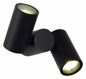 Светильник на штанге ST-Luce Ecollo SL9011.402.02 в Муравленко - muravlenko.ok-mebel.com | фото 2