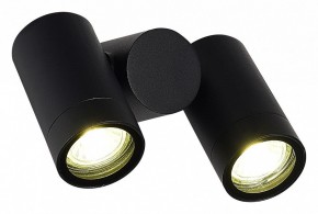 Светильник на штанге ST-Luce Ecollo SL9011.402.02 в Муравленко - muravlenko.ok-mebel.com | фото 3