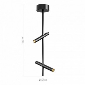 Светильник на штанге ST-Luce LILT SL6210.403.02 в Муравленко - muravlenko.ok-mebel.com | фото 3