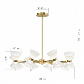 Светильник на штанге ST-Luce SPIRIT SL2004.313.12 в Муравленко - muravlenko.ok-mebel.com | фото 3