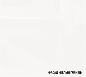 ТЕРЦИЯ Кухонный гарнитур Ультра (2000 мм) в Муравленко - muravlenko.ok-mebel.com | фото 5