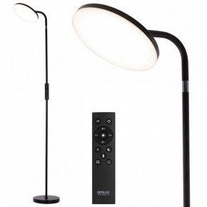 Торшер Citilux SOLO CL804061 в Муравленко - muravlenko.ok-mebel.com | фото 2