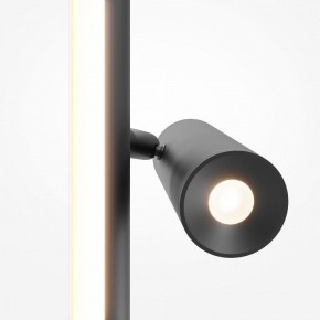 Торшер Maytoni Thin MOD395FL-L28B3K в Муравленко - muravlenko.ok-mebel.com | фото 6