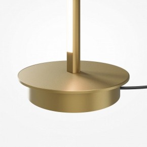Торшер Maytoni Thin MOD395FL-L28BS3K в Муравленко - muravlenko.ok-mebel.com | фото 7