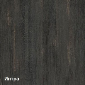Трувор Шкаф 13.204.01 в Муравленко - muravlenko.ok-mebel.com | фото 3