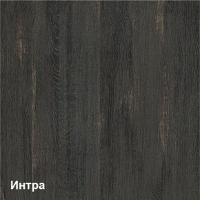 Трувор Шкаф-стеллаж 13.206 в Муравленко - muravlenko.ok-mebel.com | фото 4