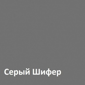 Юнона Шкаф торцевой 13.221 в Муравленко - muravlenko.ok-mebel.com | фото 2